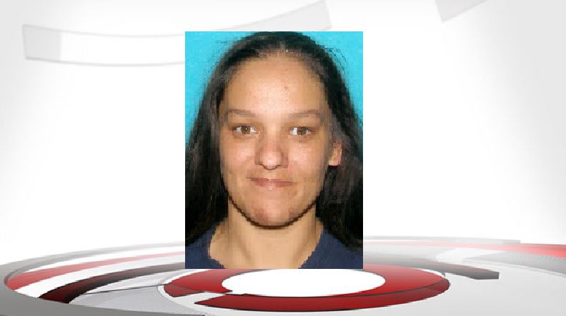SILVER ALERT - STEPHANIE ANN HUDAK - ISP 4-24-19.jpg